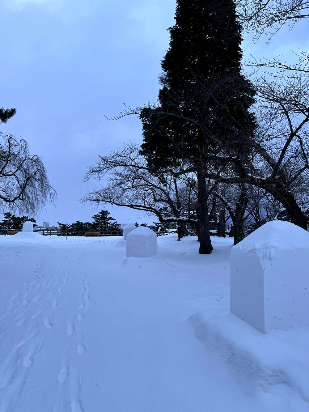 弘前城＋最勝院五重塔周回の写真26