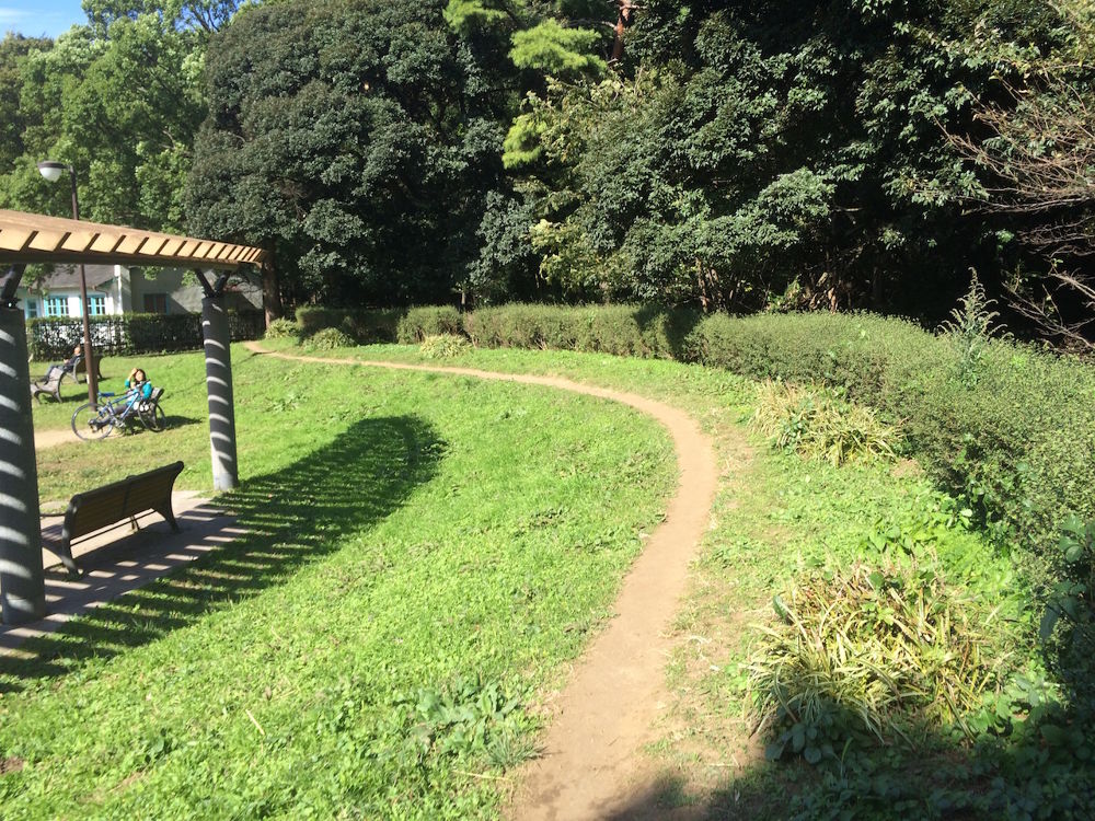 代々木公園プチトレイルコース4kmの写真3