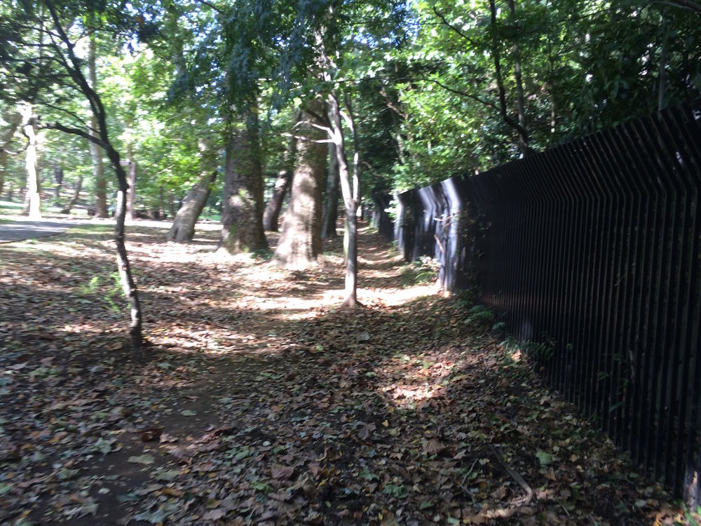 代々木公園プチトレイルコース4kmの写真4