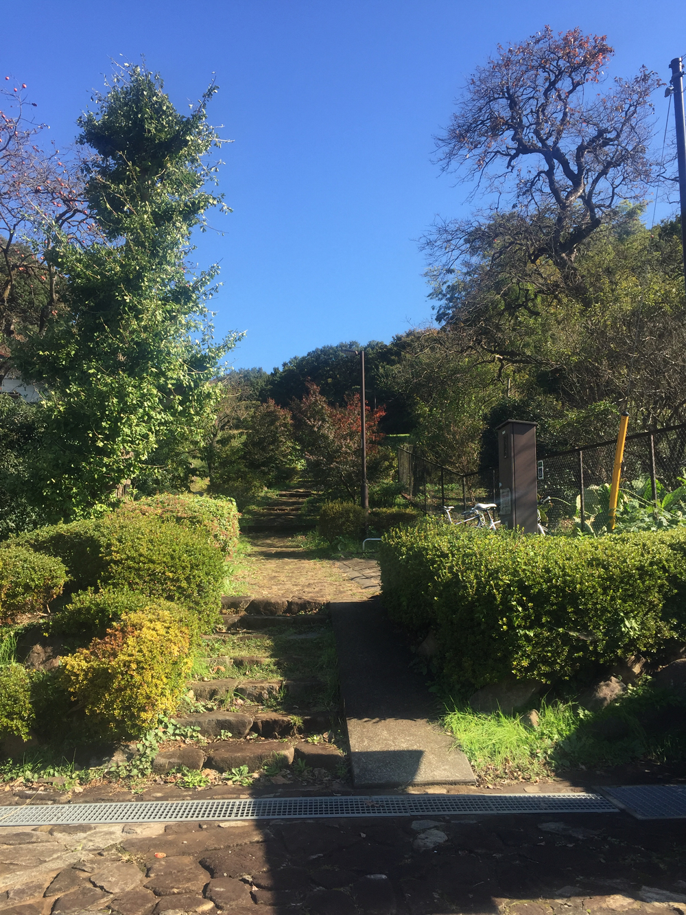 多摩丘陵ラン(橋本〜若葉台)の写真4