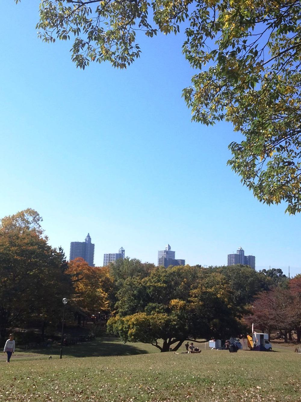 所沢航空記念公園-紅葉ＲＵＮの写真9