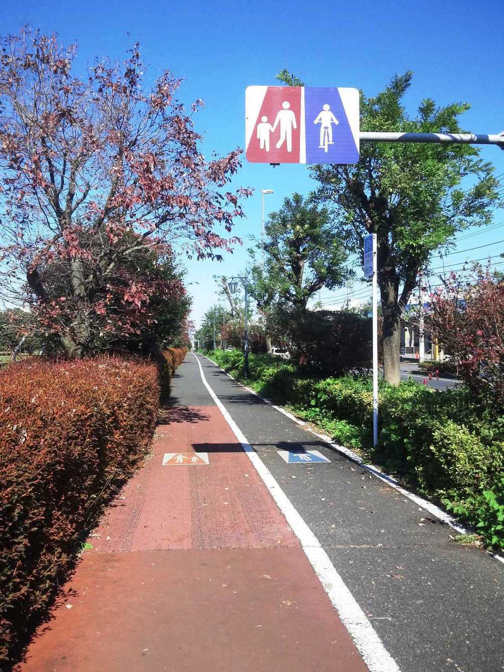 所沢航空記念公園-紅葉ＲＵＮの写真10