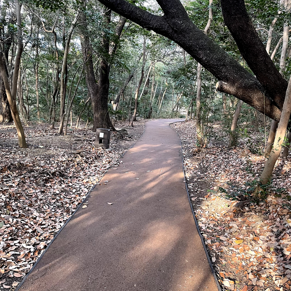 大府市ウォーキングトレイル(大府駅〜北崎大池)を走ってみたの写真7