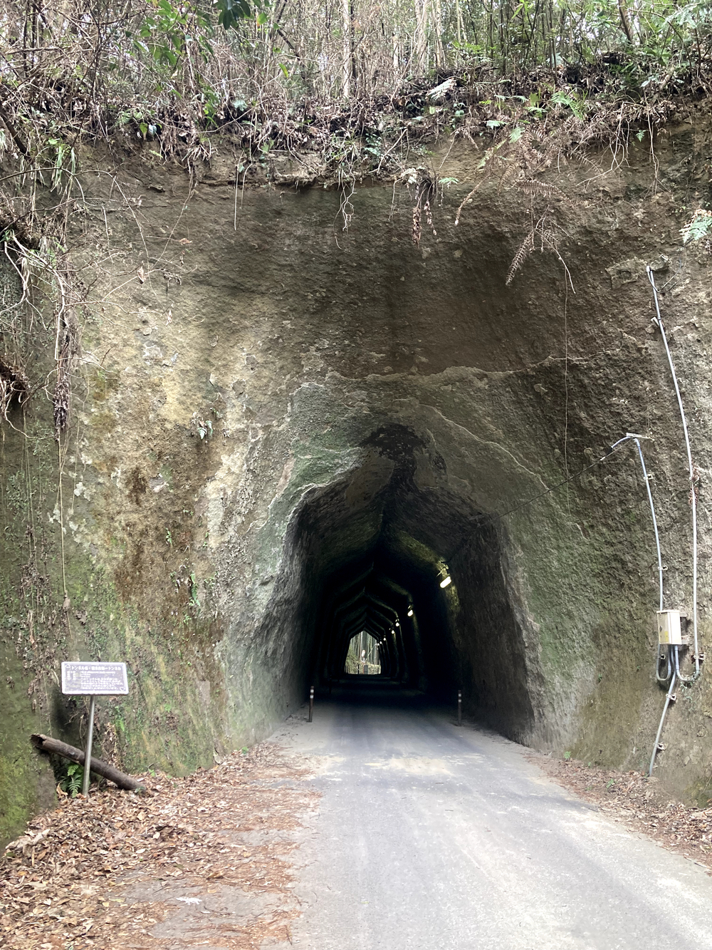 さとやまの魅力満載です。の写真3