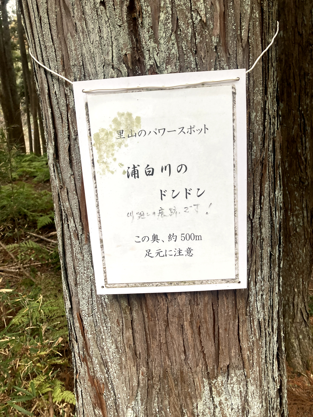 さとやまの魅力満載です。の写真4