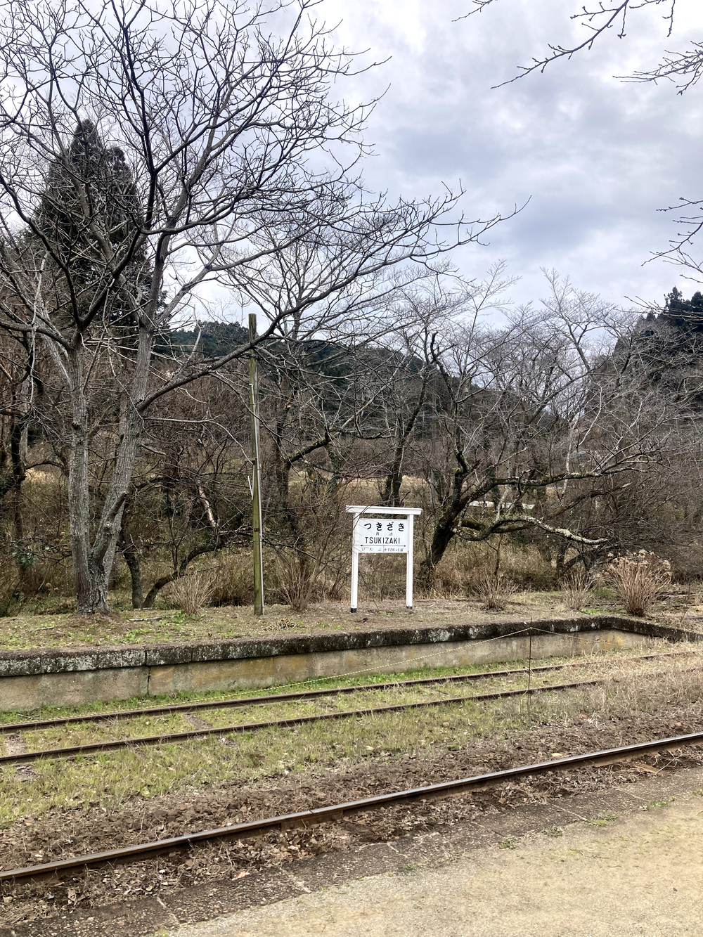 さとやまの魅力満載です。の写真5