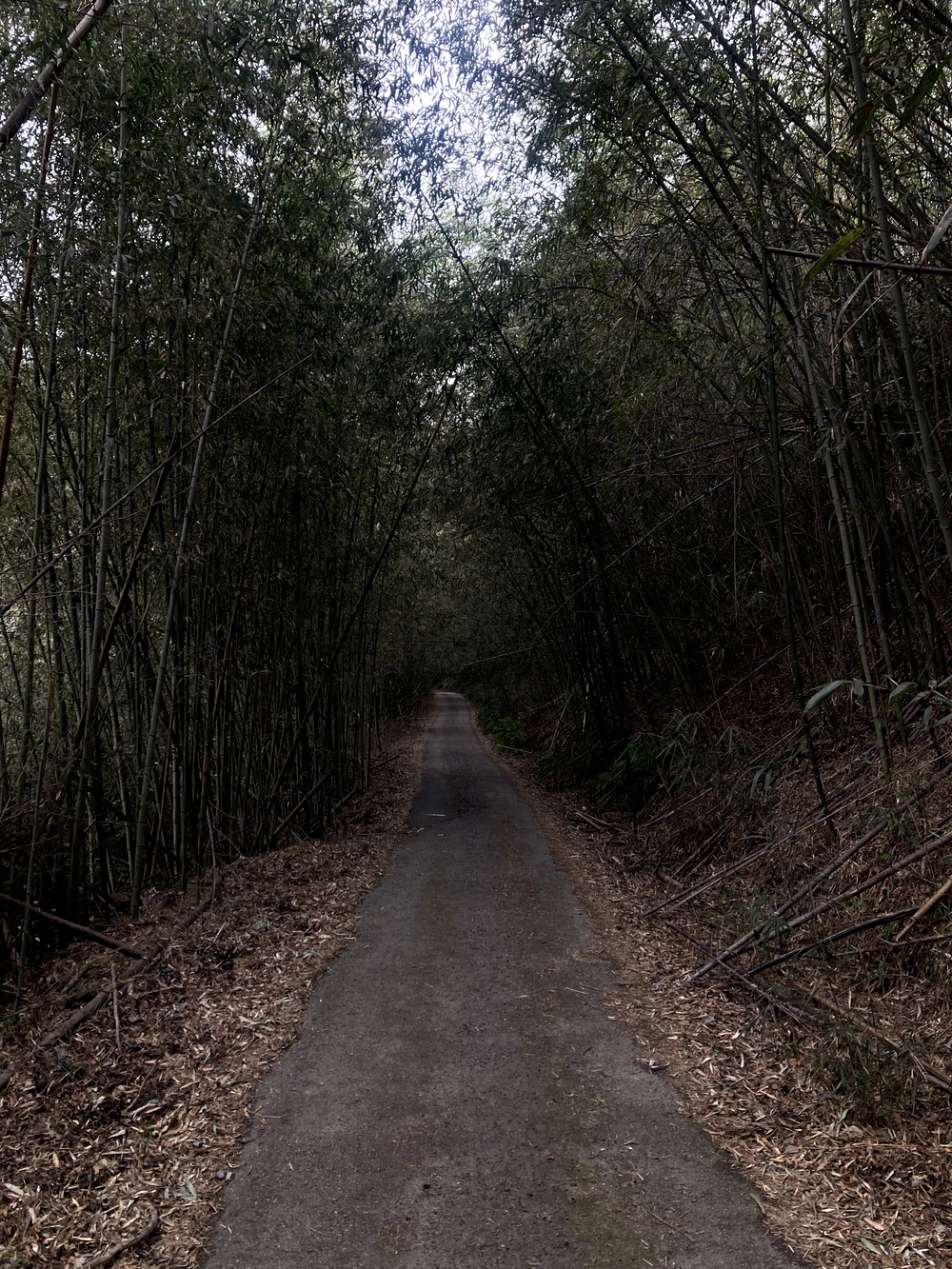 さとやまの魅力満載です。の写真9