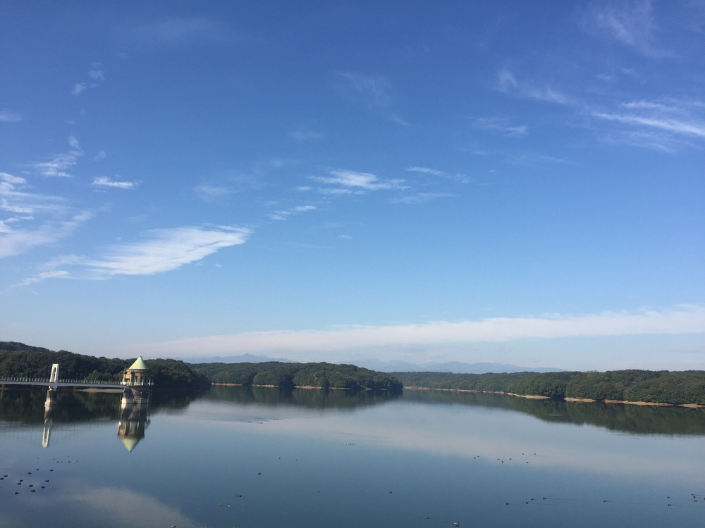 多摩湖+狭山湖一周の写真3