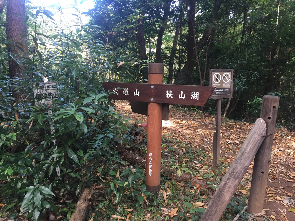 多摩湖+狭山湖一周の写真4