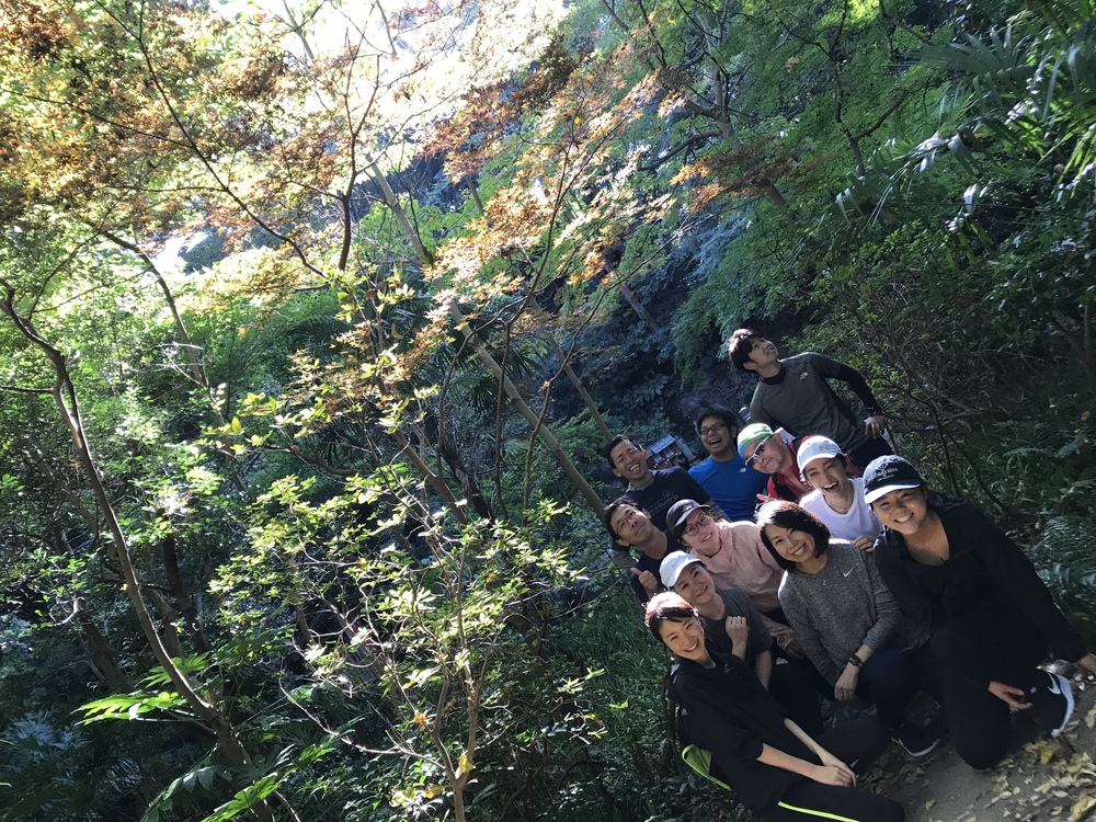 にこたまグリーン&ブルーの写真3