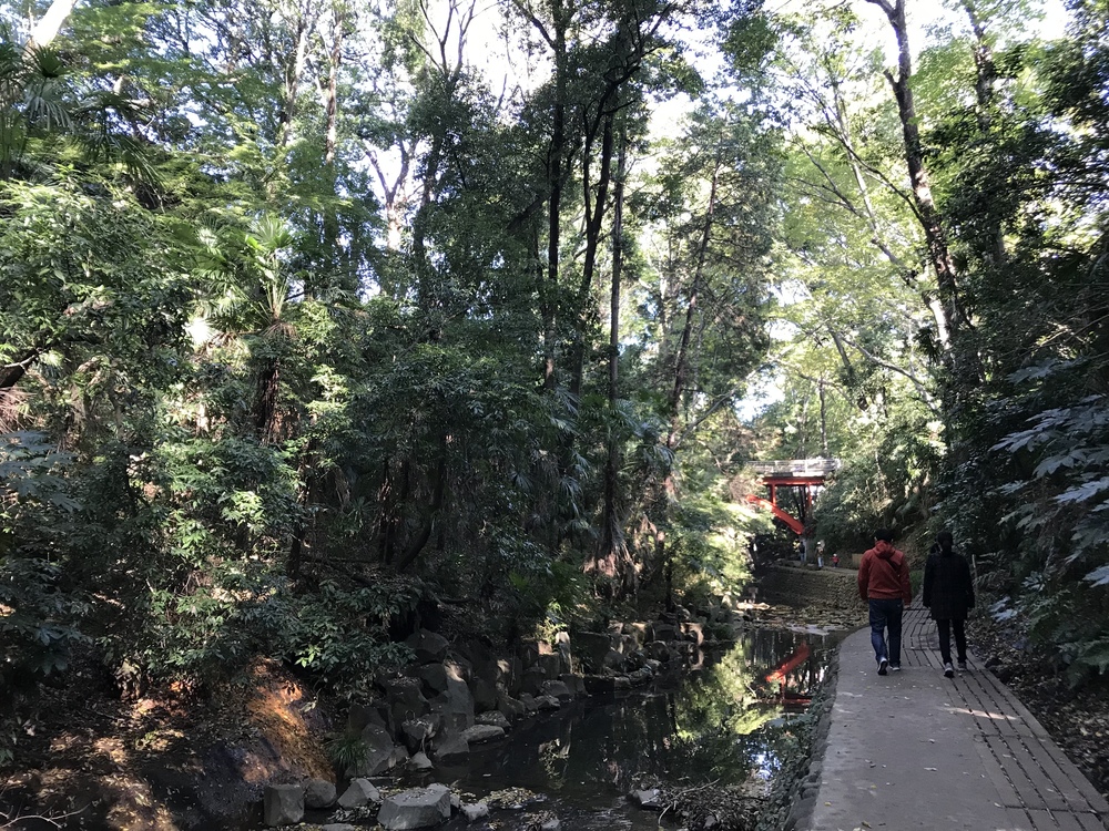 にこたまグリーン&ブルーの写真4