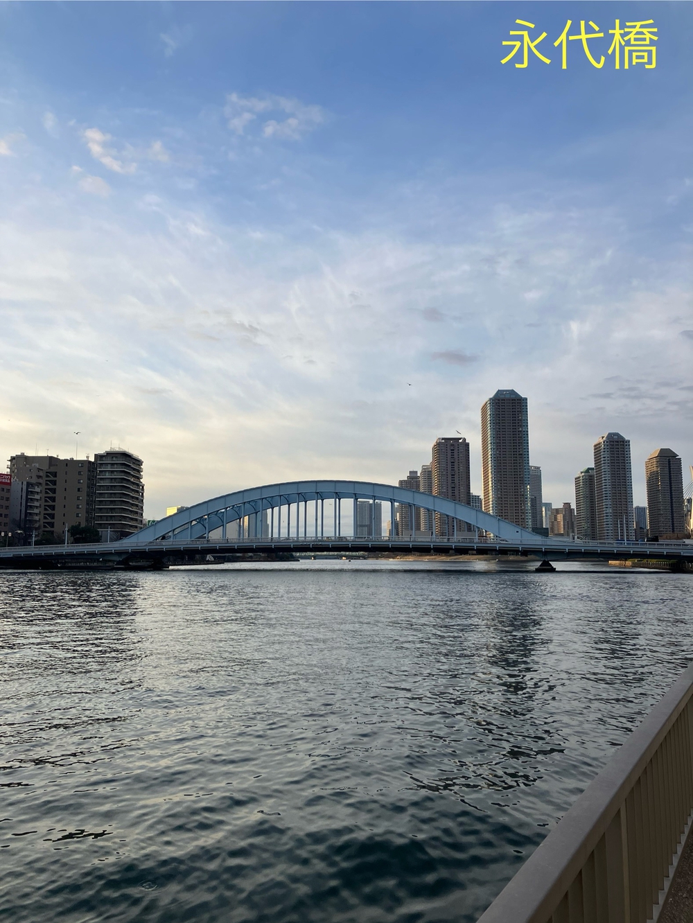 隅田川テラスラン🏃‍♀️新大橋から月島方面への写真4