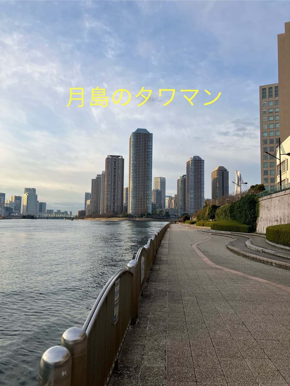 隅田川テラスラン🏃‍♀️新大橋から月島方面への写真8