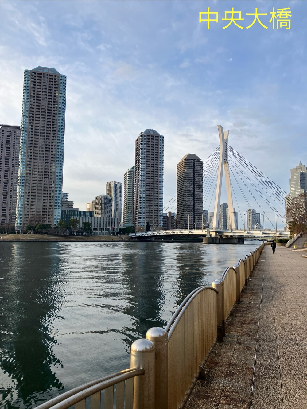 隅田川テラスラン🏃‍♀️新大橋から月島方面への写真9