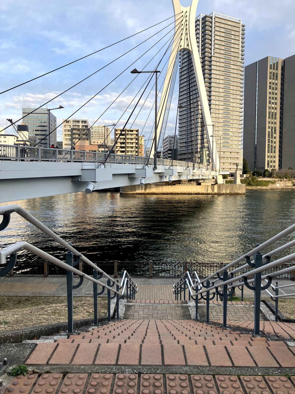 隅田川テラスラン🏃‍♀️新大橋から月島方面への写真11