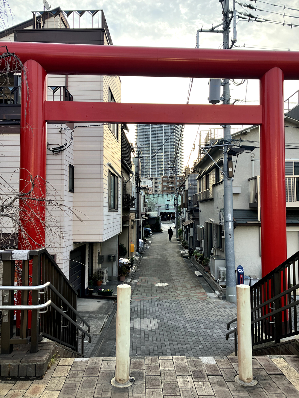 隅田川テラスラン🏃‍♀️新大橋から月島方面への写真12