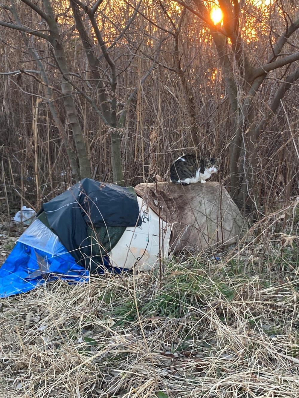 銭湯ラン（平井大橋〜荒川沿〜四ツ木）の写真7