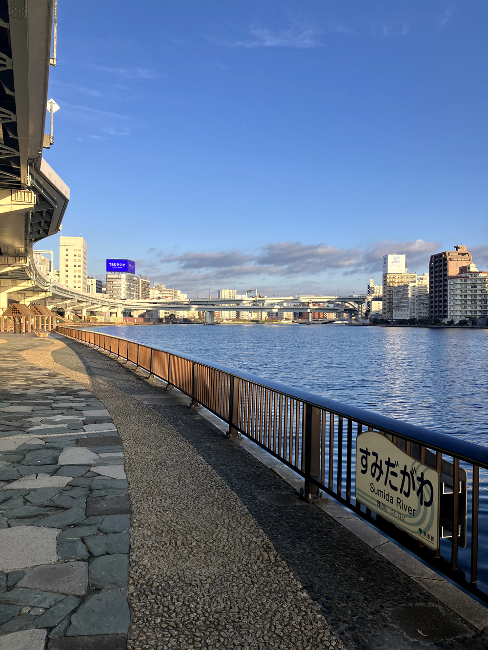 隅田川テラスラン🏃‍♀️新大橋から浅草方面への写真3