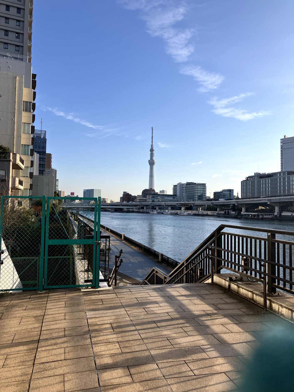 隅田川テラスラン🏃‍♀️新大橋から浅草方面への写真6