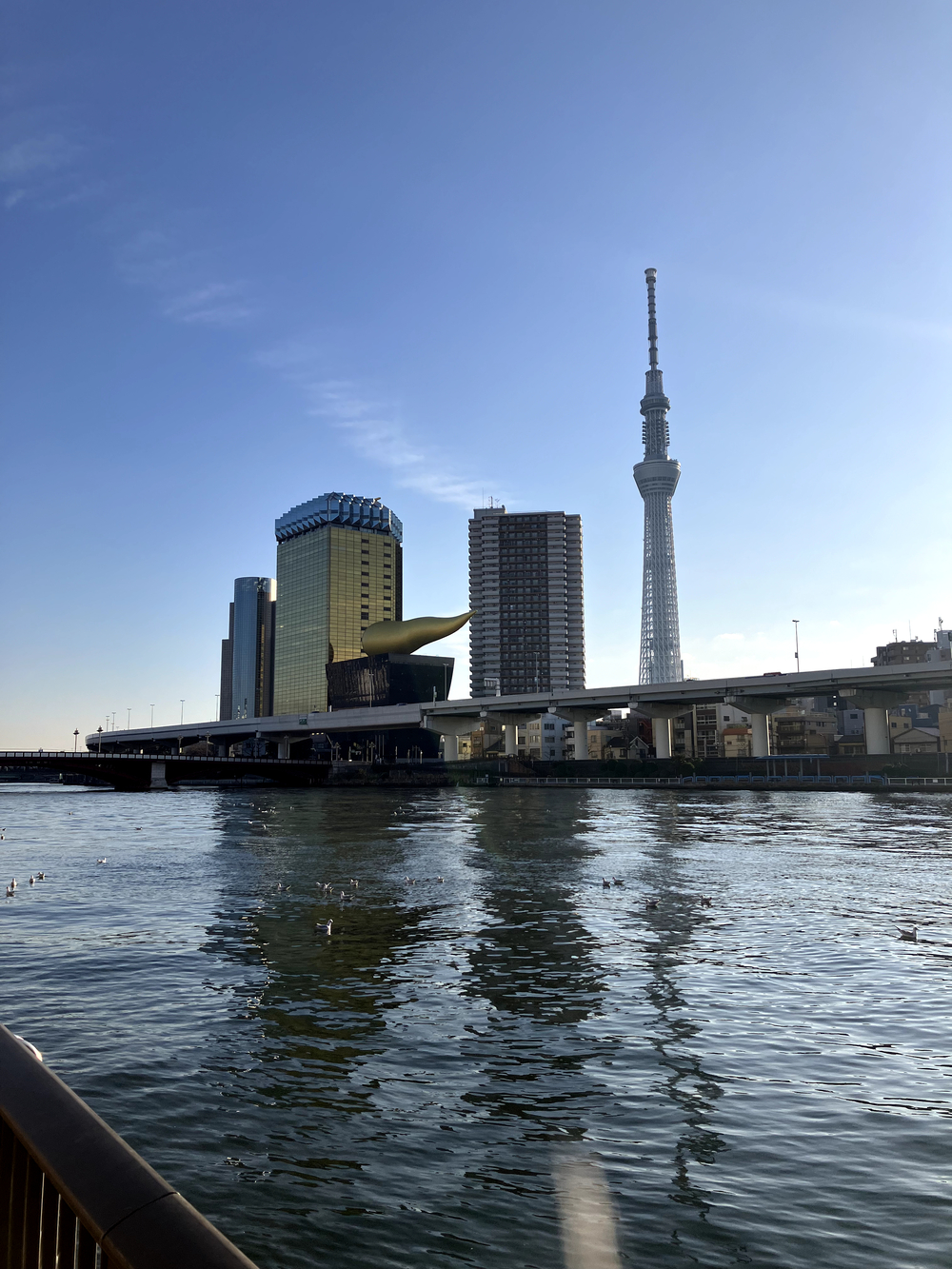 隅田川テラスラン🏃‍♀️新大橋から浅草方面への写真11