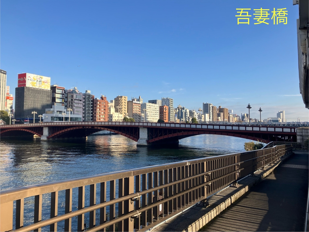 隅田川テラスラン🏃‍♀️新大橋から浅草方面への写真13