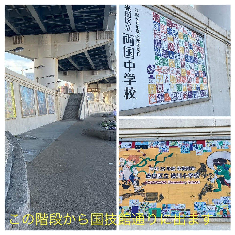 隅田川テラスラン🏃‍♀️新大橋から浅草方面への写真16
