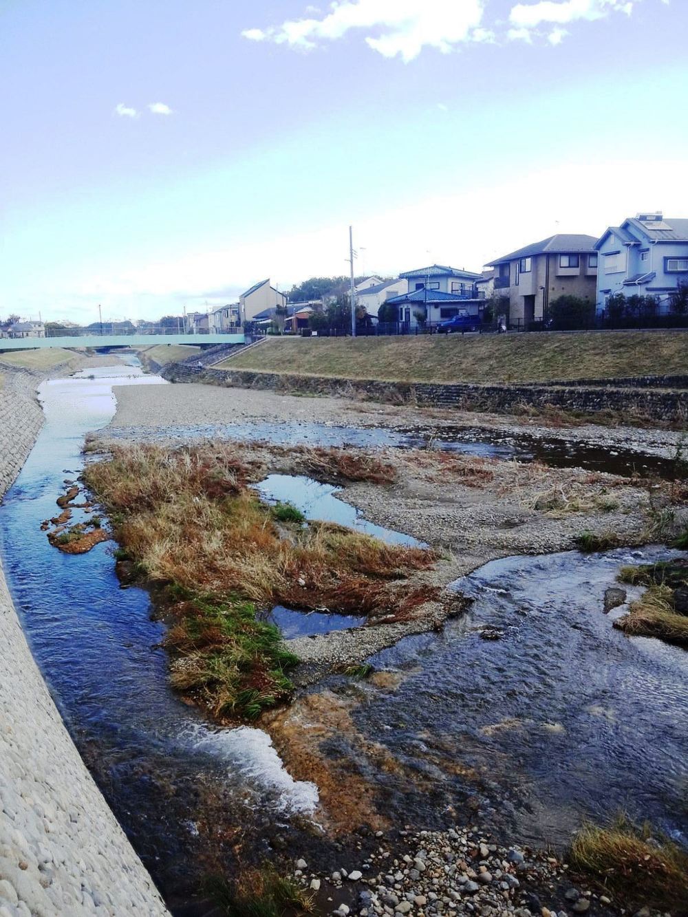 柳瀬川　秋津～清瀬の写真3