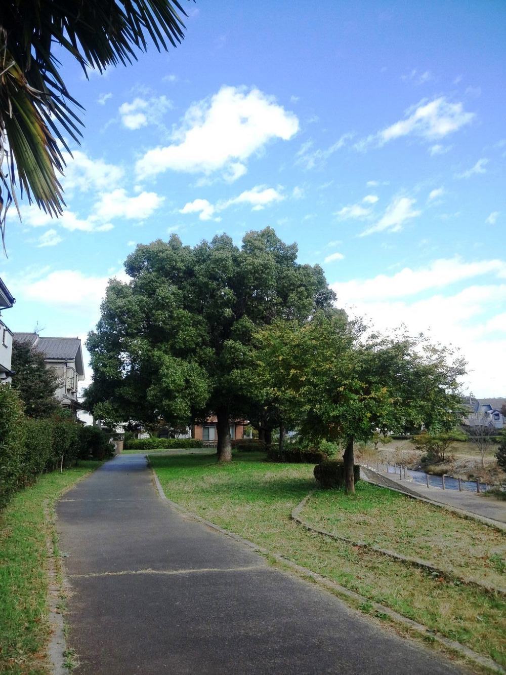 柳瀬川　秋津～清瀬の写真4