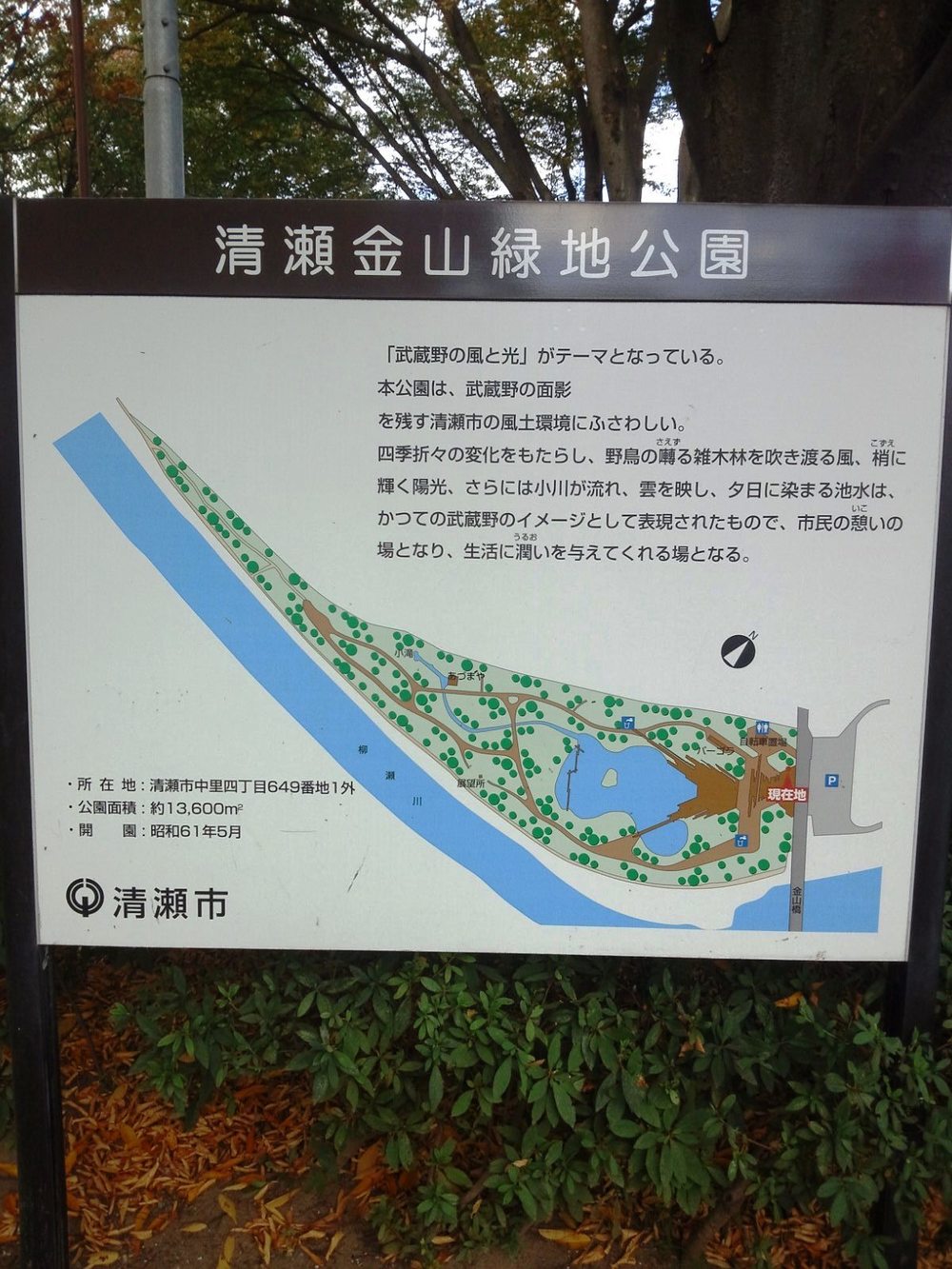 柳瀬川　秋津～清瀬の写真6