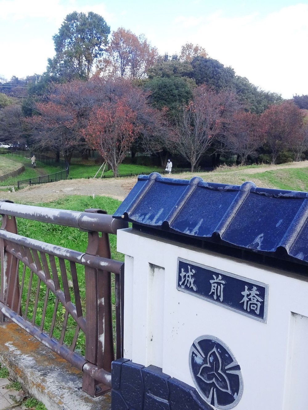 柳瀬川　秋津～清瀬の写真9