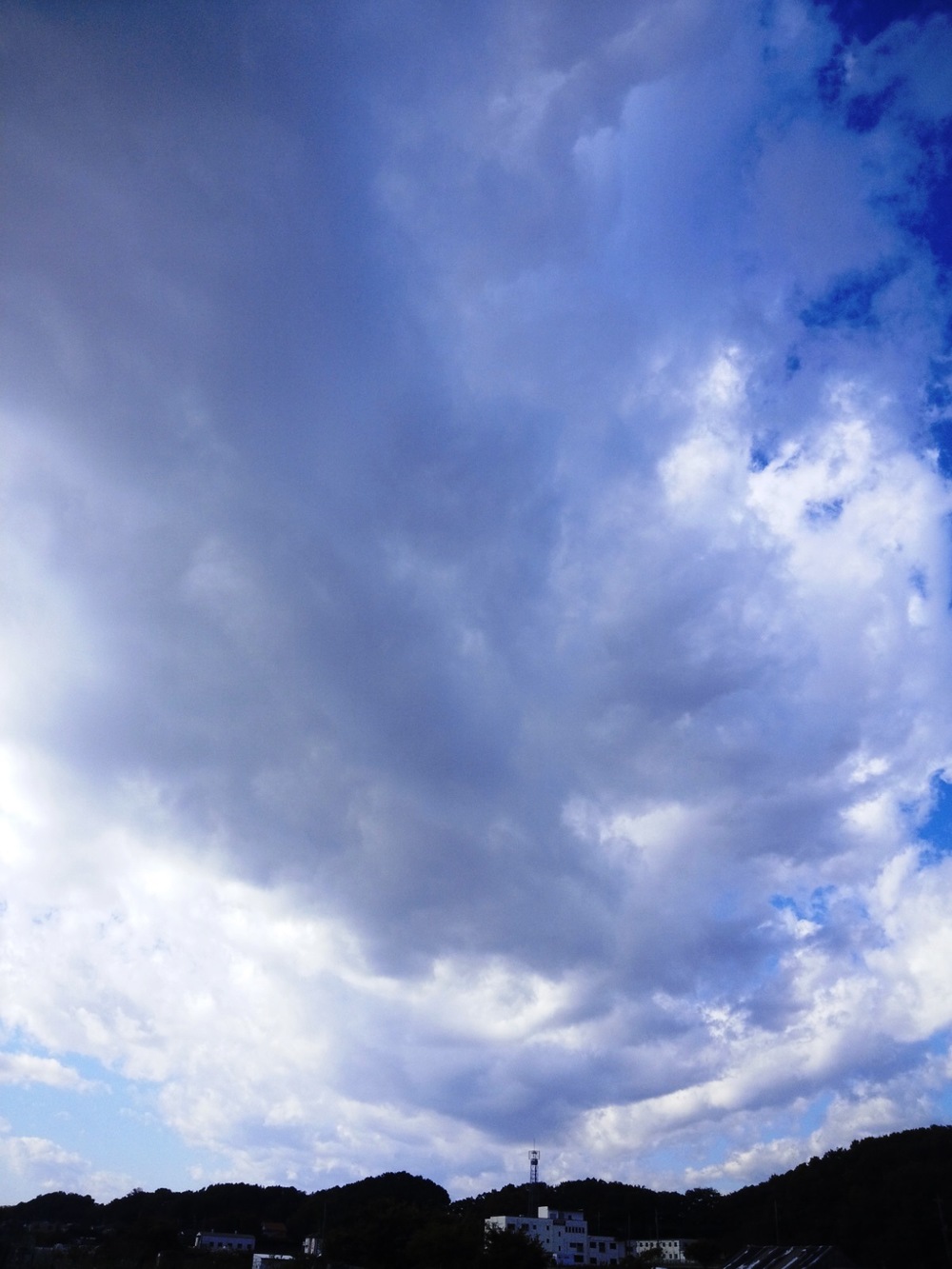 柳瀬川　秋津～清瀬の写真10