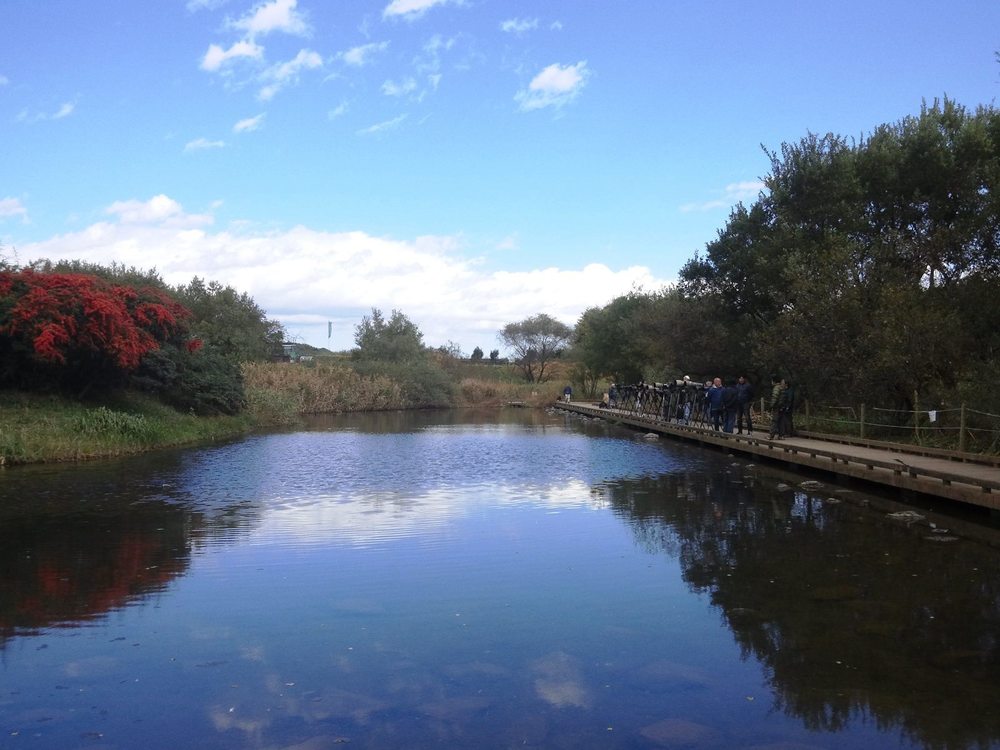 柳瀬川　秋津～清瀬の写真12