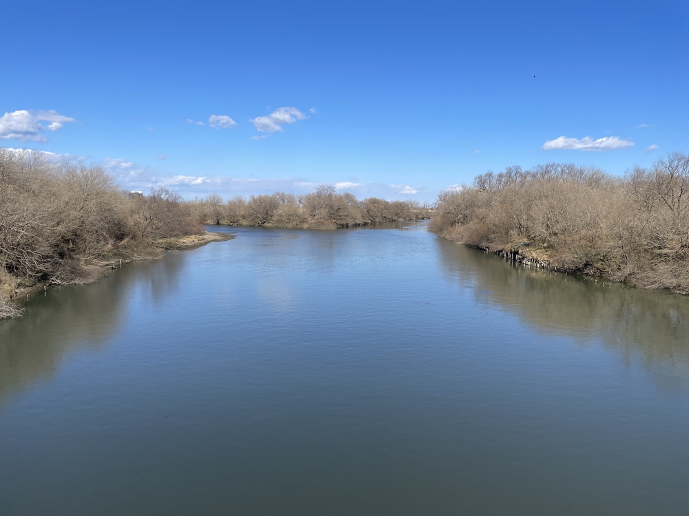 葦原の風を感じながら走る渡良瀬遊水地（谷中湖）一周の写真4