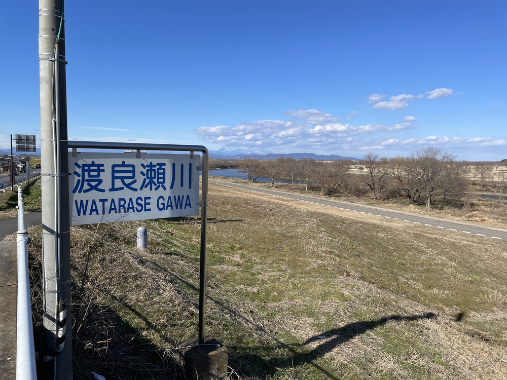 葦原の風を感じながら走る渡良瀬遊水地（谷中湖）一周の写真5