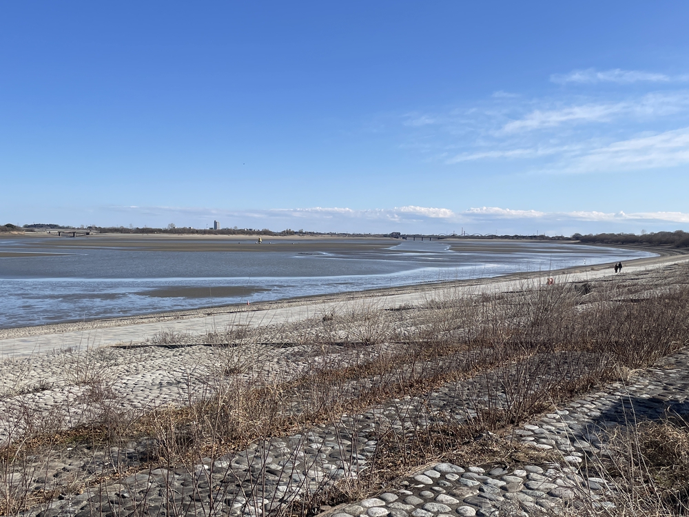 葦原の風を感じながら走る渡良瀬遊水地（谷中湖）一周の写真6