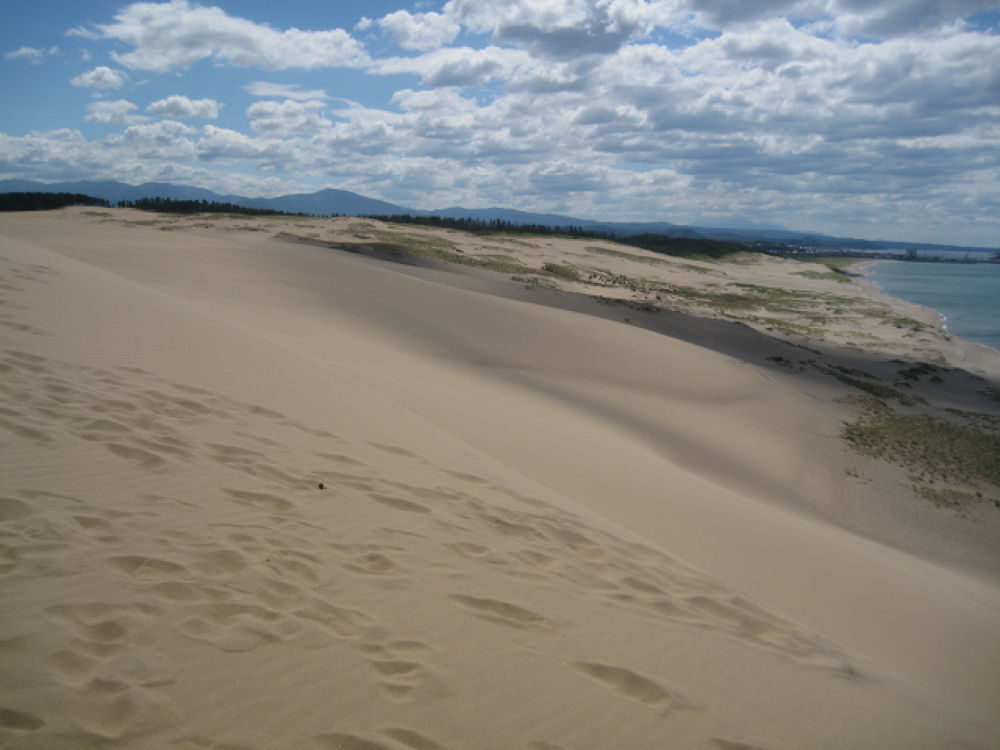 あなたを誘う砂丘・鳥取砂丘の写真4