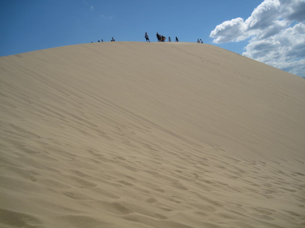 あなたを誘う砂丘・鳥取砂丘の写真6