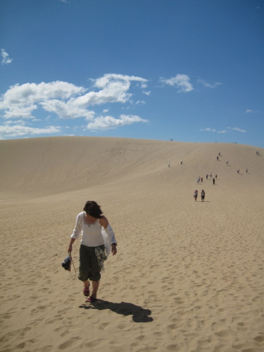あなたを誘う砂丘・鳥取砂丘の写真7