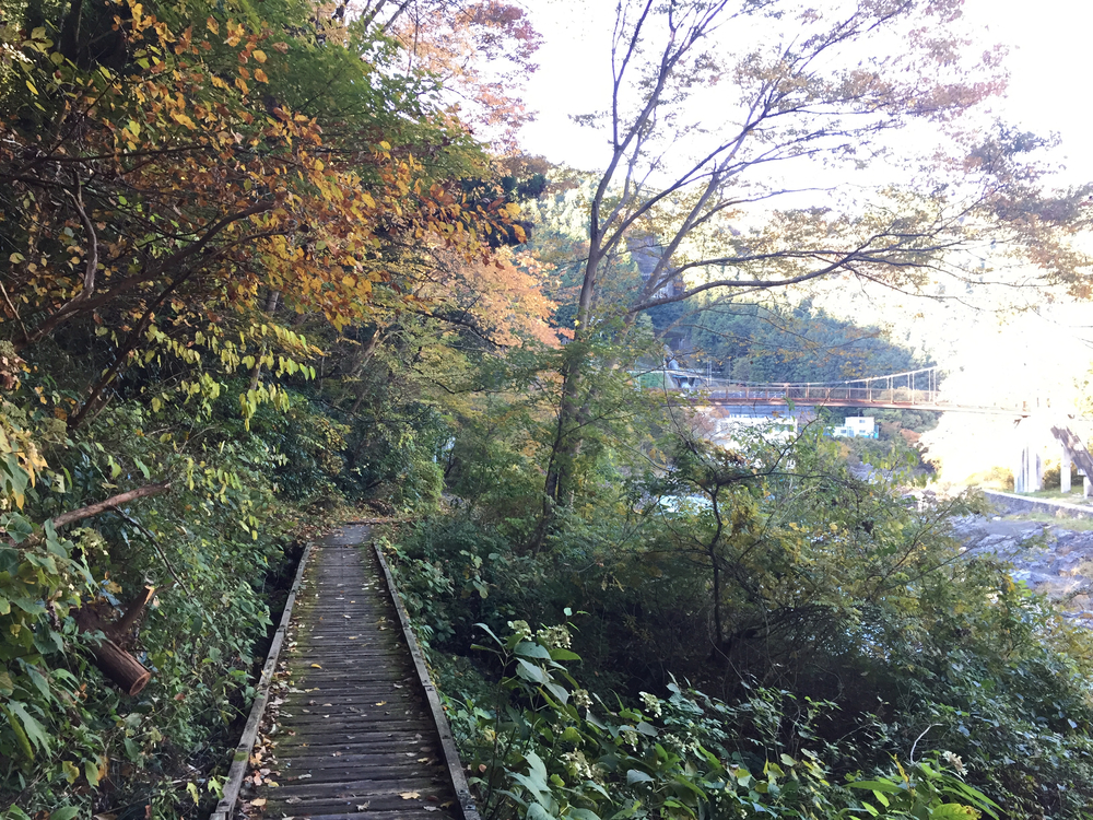 奥多摩ラン(軍畑〜奥多摩湖)の写真3