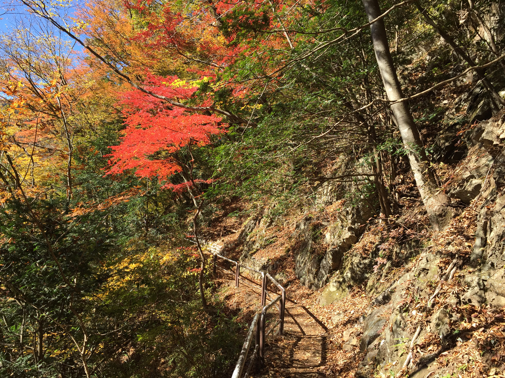 奥多摩ラン(軍畑〜奥多摩湖)の写真4
