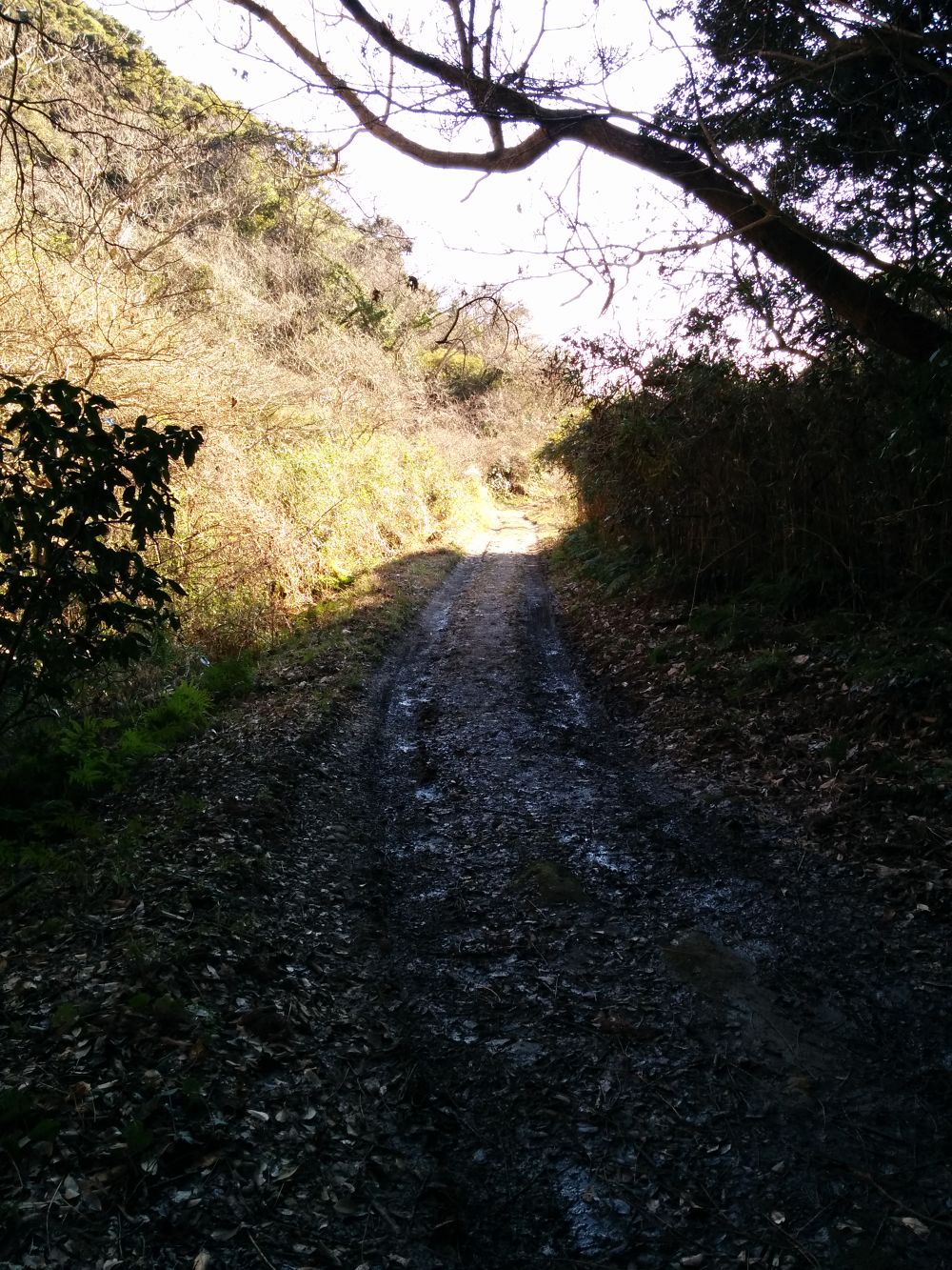 あなたを誘う月の沙漠・御宿の海と里山の写真3