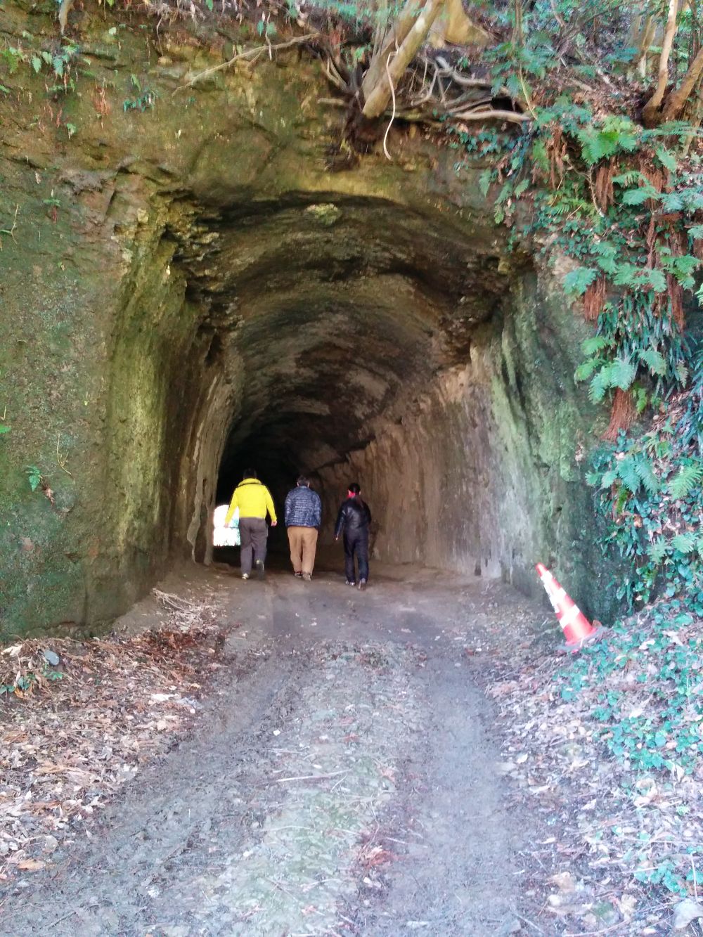 あなたを誘う月の沙漠・御宿の海と里山の写真4