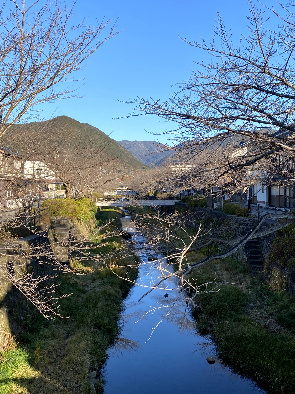 2024年に行くべき世界の52ヶ所に選ばれた山口市の見どころを走るの写真4