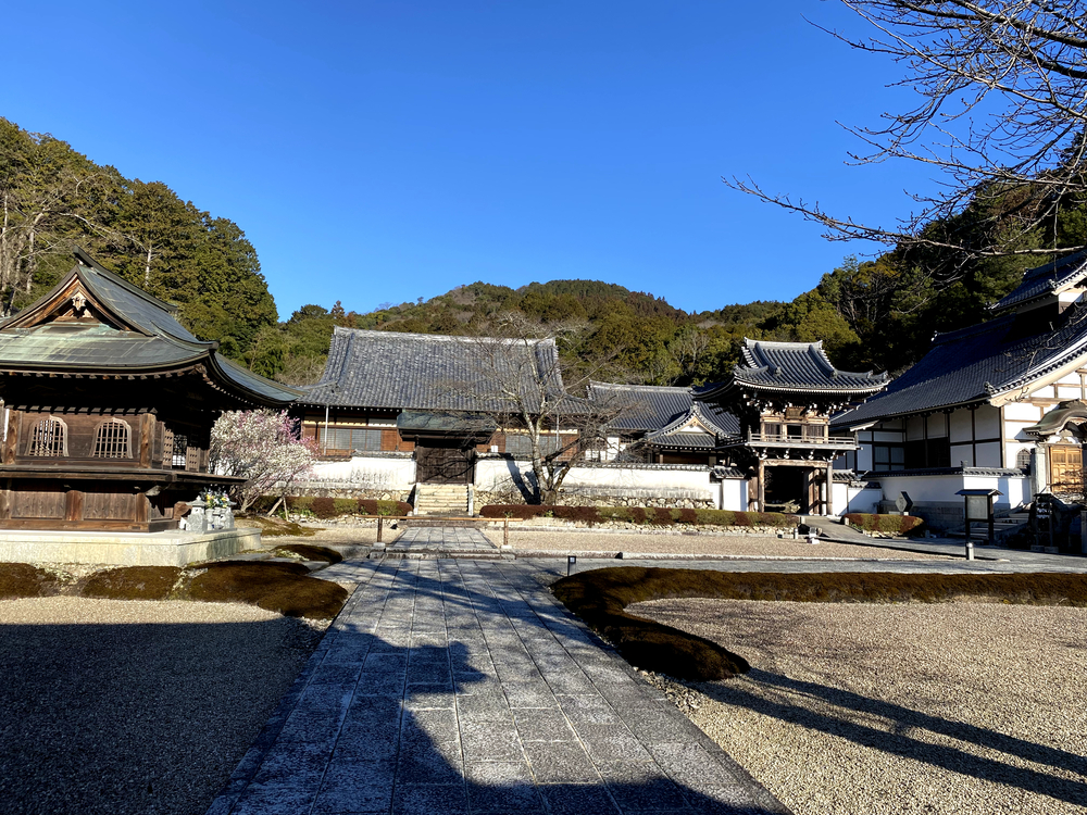 2024年に行くべき世界の52ヶ所に選ばれた山口市の見どころを走るの写真6