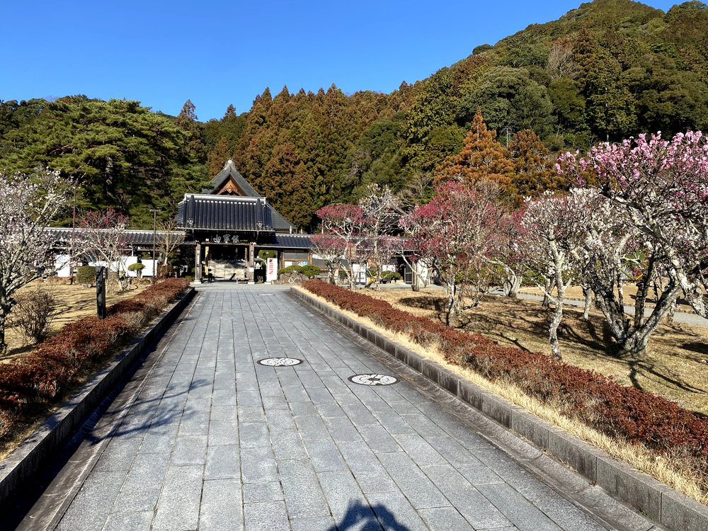 2024年に行くべき世界の52ヶ所に選ばれた山口市の見どころを走るの写真7