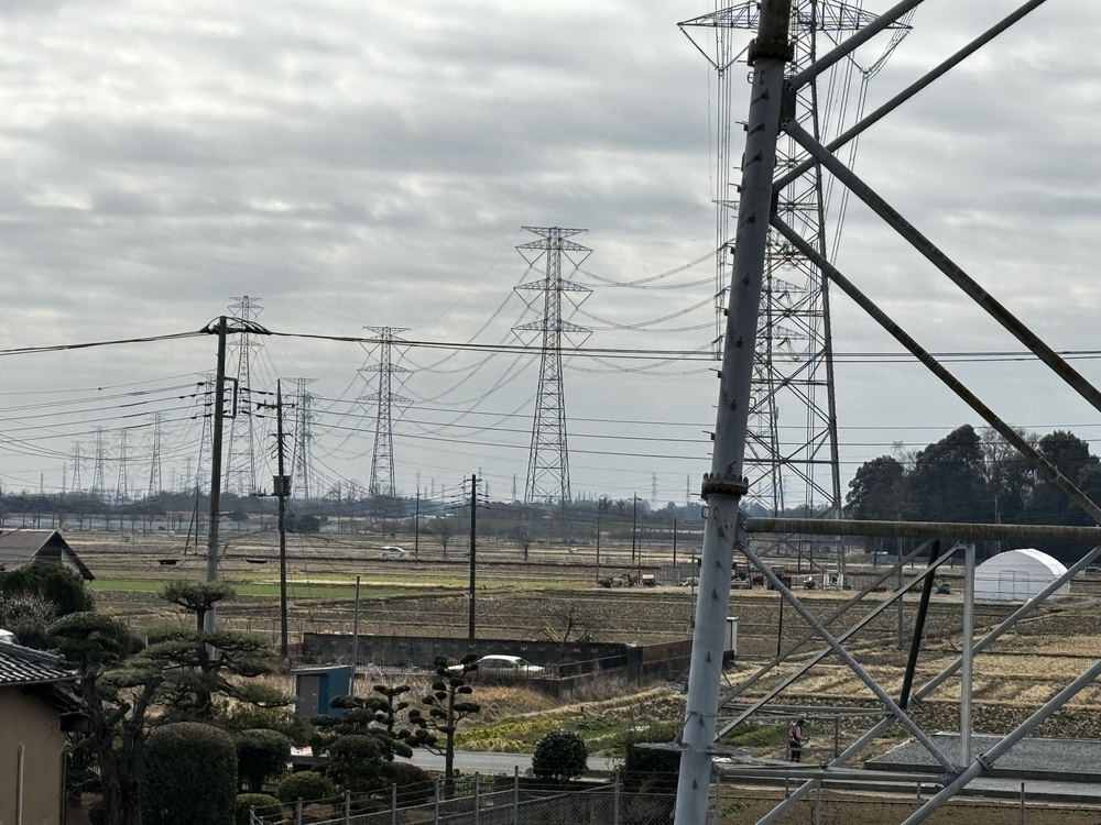 のんびりを満喫　荒川支流ラン24キロ　高坂駅〜南古谷駅の写真3