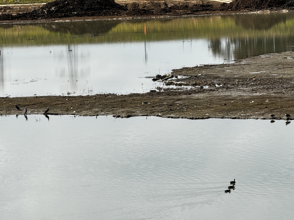 のんびりを満喫　荒川支流ラン24キロ　高坂駅〜南古谷駅の写真5