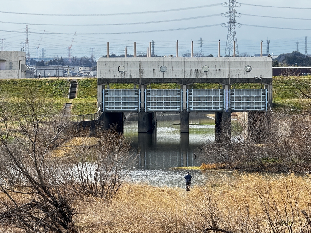 のんびりを満喫　荒川支流ラン24キロ　高坂駅〜南古谷駅の写真6
