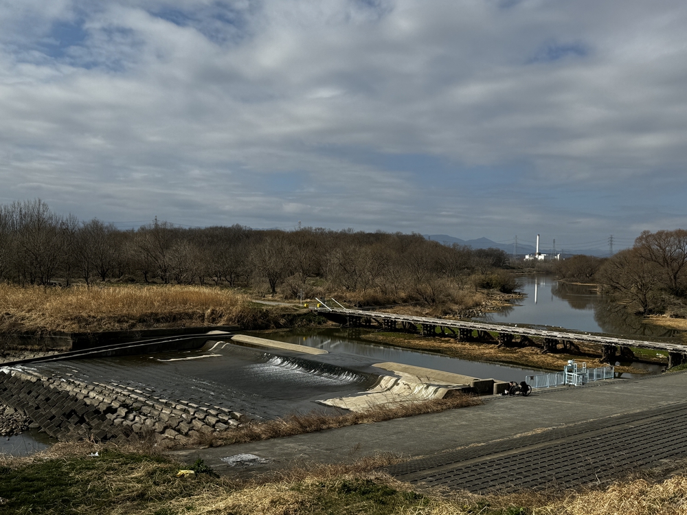 のんびりを満喫　荒川支流ラン24キロ　高坂駅〜南古谷駅の写真7