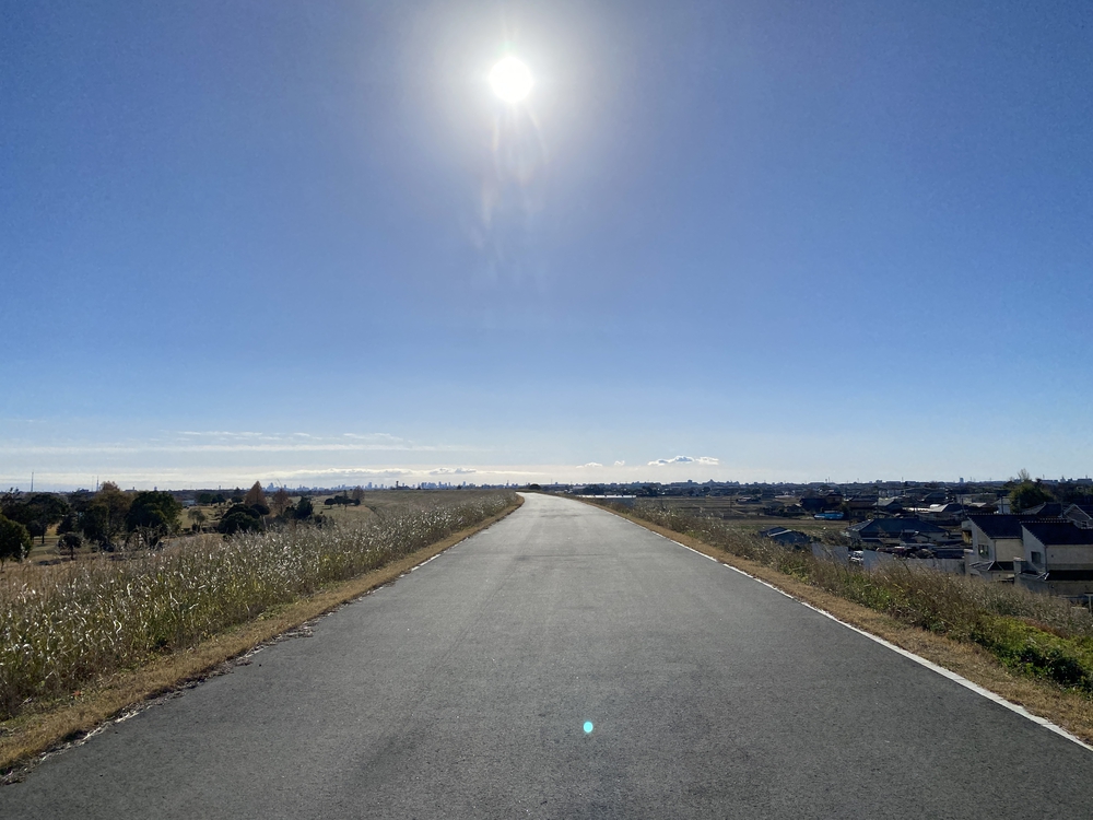 荒川ロングラン　指扇駅〜赤羽駅　25キロ の写真3